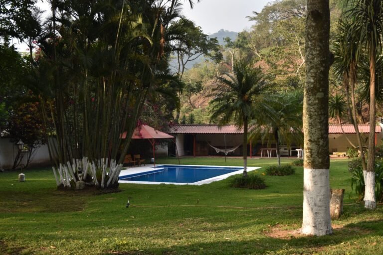 Naturaleza y cultivos de café en Finca El Barretal