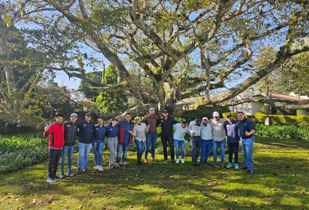 Equipo de trabajo reunido bajo un árbol gigante durante una experiencia de turismo corporativo en Guatemala