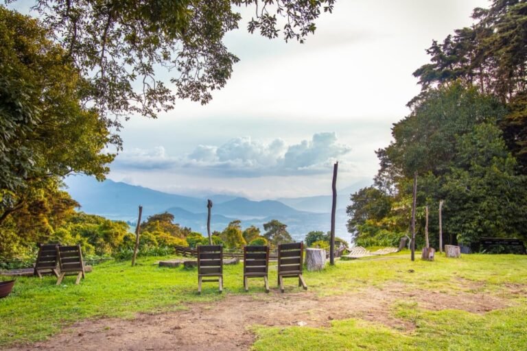 Pistas de mountain bike en San Agustín Bike Park