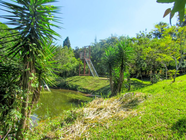 Paisajes naturales en Campamento Horeb, Villa Canales