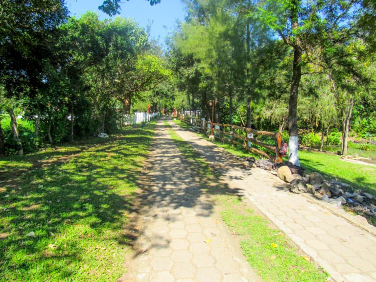 Áreas recreativas de Campamento Horeb